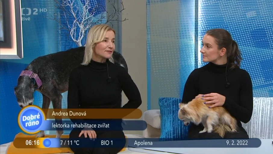 ČT Dobré ráno, Andrea Dunová